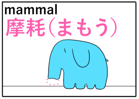 mammal（哺乳類）