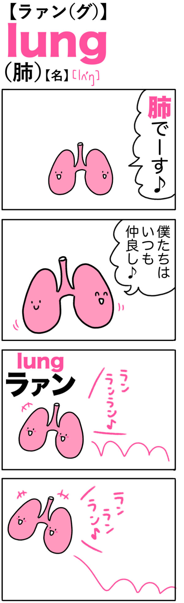 lung（肺）の語呂合わせ英単語