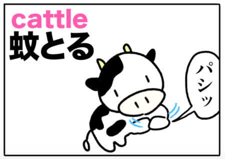 cattle（牛）の覚え方