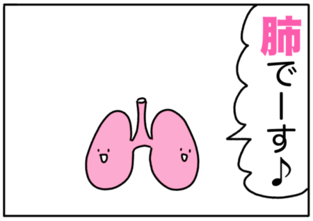 lung（肺）