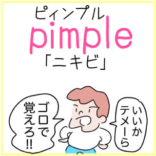 pimple（ニキビ）の覚え方