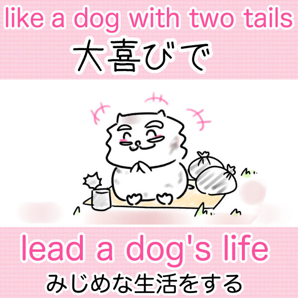 like a dog with two tails 大喜びで